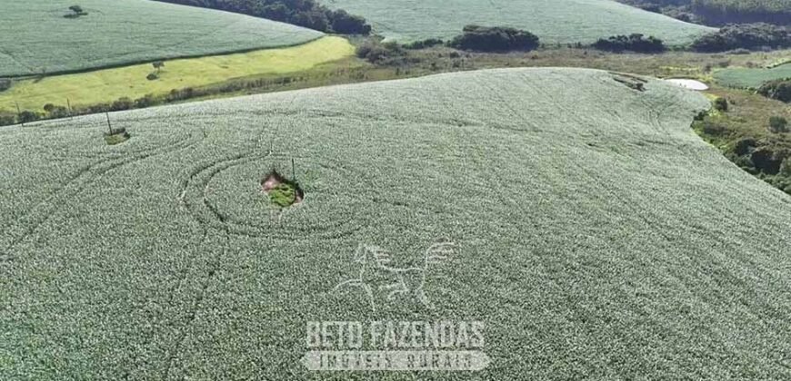 Fazenda à Venda 153 Hectares Excelete Aptidão para Café e Citricultura | Mindurim/MG