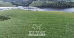 Fazenda à Venda 153 Hectares Excelete Aptidão para Café e Citricultura | Mindurim/MG
