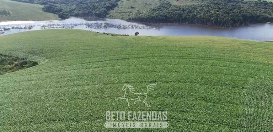 Fazenda à Venda 153 Hectares Excelete Aptidão para Café e Citricultura | Mindurim/MG
