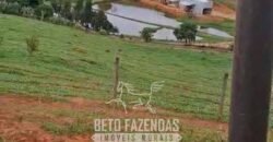Fazenda à Venda 153 Hectares Excelete Aptidão para Café e Citricultura | Mindurim/MG
