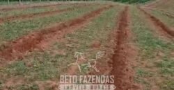 Fazenda à Venda 153 Hectares Excelete Aptidão para Café e Citricultura | Mindurim/MG