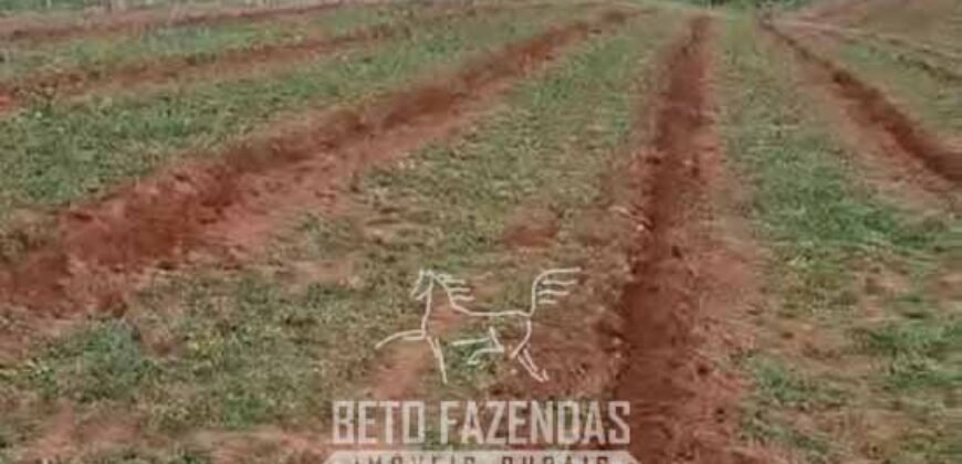 Fazenda à Venda 153 Hectares Excelete Aptidão para Café e Citricultura | Mindurim/MG