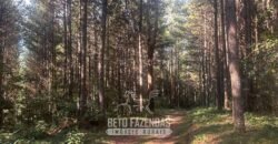 Fazenda de Pinus e Eucalípto à Venda 200 Alqueires Paulistas | Região Metropolitana de Curitiba/PR