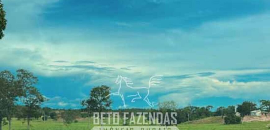 Fazenda à Venda 348 hectares Dupla Aptidão | Centenário /TO Fazenda à Venda 348 hectares Dupla Aptidão | Centenário /TO