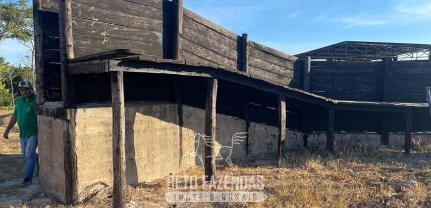 Fazenda à Venda 348 hectares Dupla Aptidão | Centenário /TO Fazenda à Venda 348 hectares Dupla Aptidão | Centenário /TO