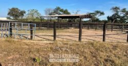 Fazenda à Venda 348 hectares Dupla Aptidão | Centenário /TO Fazenda à Venda 348 hectares Dupla Aptidão | Centenário /TO