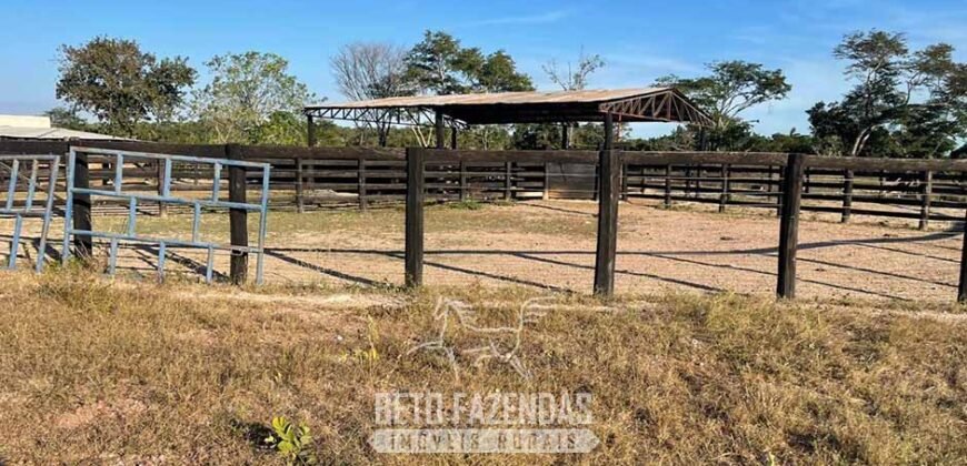 Fazenda à Venda 348 hectares Dupla Aptidão | Centenário /TO Fazenda à Venda 348 hectares Dupla Aptidão | Centenário /TO