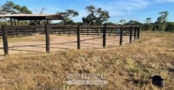 Fazenda à Venda 348 hectares Dupla Aptidão | Centenário /TO Fazenda à Venda 348 hectares Dupla Aptidão | Centenário /TO