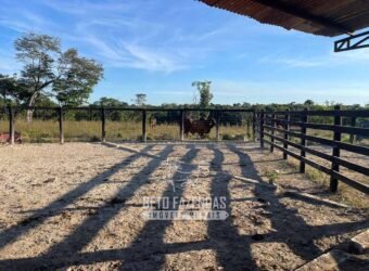 Fazenda à Venda 348 hectares Dupla Aptidão | Centenário /TO