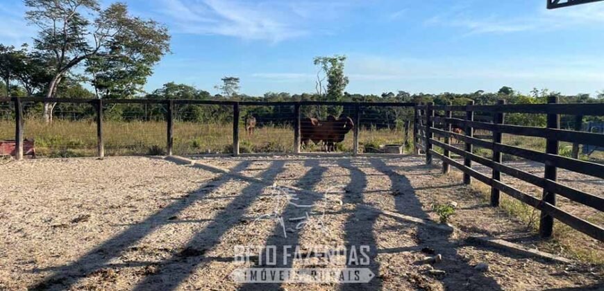 Fazenda à Venda 348 hectares Dupla Aptidão | Centenário /TO Fazenda à Venda 348 hectares Dupla Aptidão | Centenário /TO