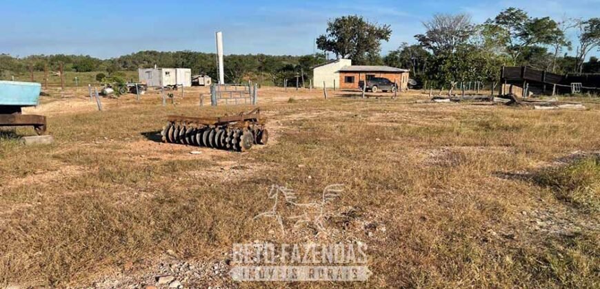 Fazenda à Venda 348 hectares Dupla Aptidão | Centenário /TO Fazenda à Venda 348 hectares Dupla Aptidão | Centenário /TO