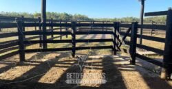 Fazenda à Venda 348 hectares Dupla Aptidão | Centenário /TO Fazenda à Venda 348 hectares Dupla Aptidão | Centenário /TO