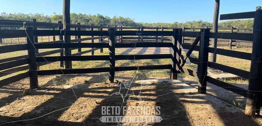 Fazenda à Venda 348 hectares Dupla Aptidão | Centenário /TO Fazenda à Venda 348 hectares Dupla Aptidão | Centenário /TO