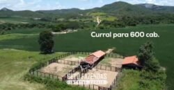 Fazenda à Venda 2.590 Hectares de Soja e Pecuária Dupla Aptidão em Goias Fazenda à Venda 2.590 Hectares de Soja e Pecuária Dupla Aptidão em Goias