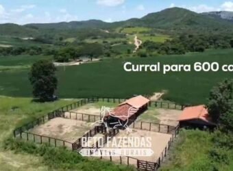 Fazenda à Venda 2.590 Hectares de Soja e Pecuária Dupla Aptidão em Goias