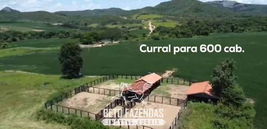 Fazenda à Venda 2.590 Hectares de Soja e Pecuária Dupla Aptidão em Goias Fazenda à Venda 2.590 Hectares de Soja e Pecuária Dupla Aptidão em Goias
