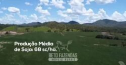 Fazenda à Venda 2.590 Hectares de Soja e Pecuária Dupla Aptidão em Goias Fazenda à Venda 2.590 Hectares de Soja e Pecuária Dupla Aptidão em Goias