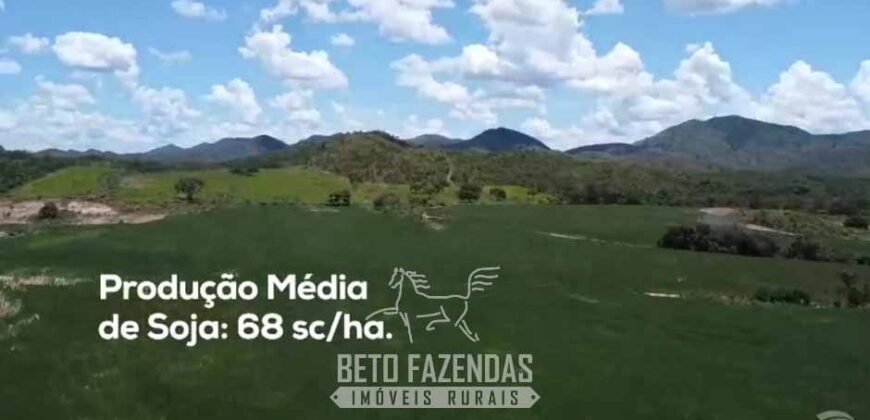 Fazenda à Venda 2.590 Hectares de Soja e Pecuária Dupla Aptidão em Goias Fazenda à Venda 2.590 Hectares de Soja e Pecuária Dupla Aptidão em Goias