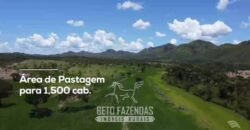 Fazenda à Venda 2.590 Hectares de Soja e Pecuária Dupla Aptidão em Goias Fazenda à Venda 2.590 Hectares de Soja e Pecuária Dupla Aptidão em Goias