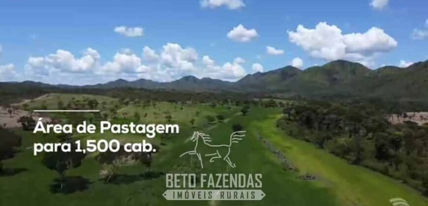 Fazenda à Venda 2.590 Hectares de Soja e Pecuária Dupla Aptidão em Goias Fazenda à Venda 2.590 Hectares de Soja e Pecuária Dupla Aptidão em Goias