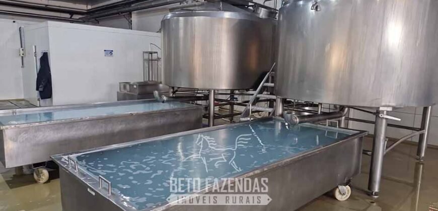 Complexo Industrial de Laticínios à Venda em uma área de 5 Alqueires no Paraná