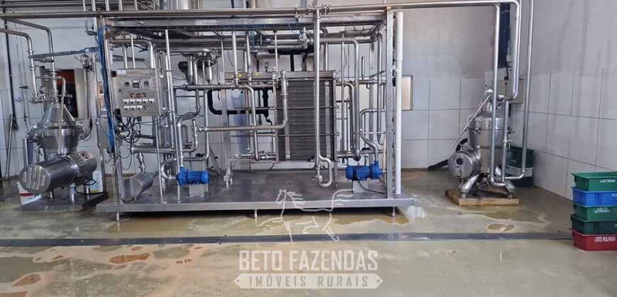 Complexo Industrial de Laticínios à Venda em uma área de 5 Alqueires no Paraná