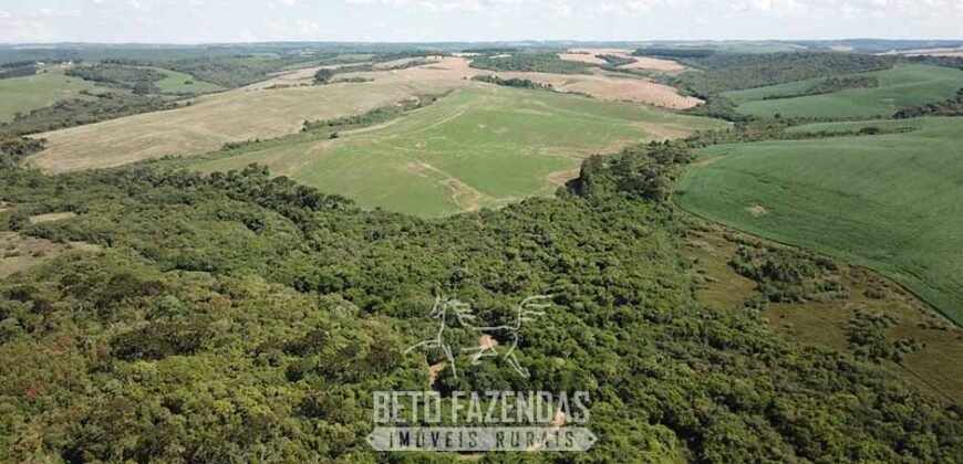 Fazenda à Venda 173 Hectares Dupla Apitdão | Lapa/ PR Fazenda à Venda 173 Hectares Dupla Apitdão | Lapa/ PR
