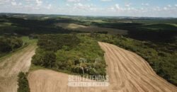 Fazenda à Venda 173 Hectares Dupla Apitdão | Lapa/ PR Fazenda à Venda 173 Hectares Dupla Apitdão | Lapa/ PR