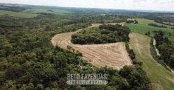 Fazenda à Venda 173 Hectares Dupla Apitdão | Lapa/ PR Fazenda à Venda 173 Hectares Dupla Apitdão | Lapa/ PR