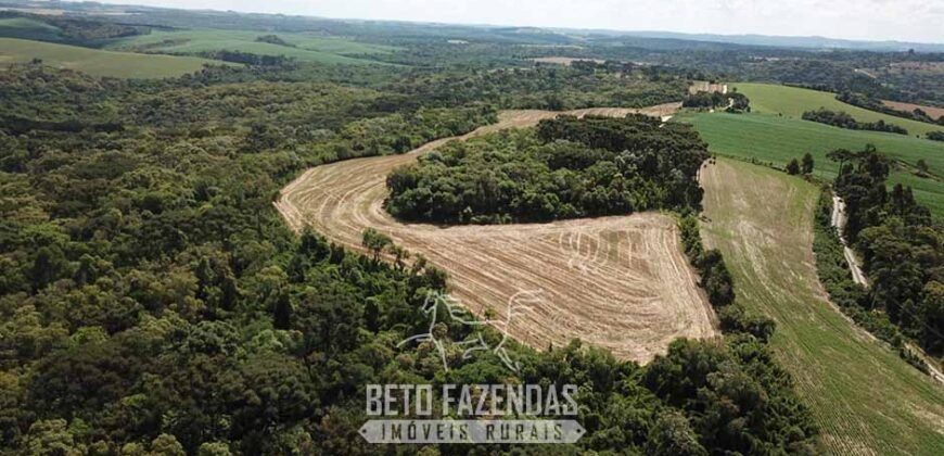 Fazenda à Venda 173 Hectares Dupla Apitdão | Lapa/ PR Fazenda à Venda 173 Hectares Dupla Apitdão | Lapa/ PR