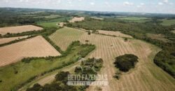 Fazenda à Venda 173 Hectares Dupla Apitdão | Lapa/ PR Fazenda à Venda 173 Hectares Dupla Apitdão | Lapa/ PR