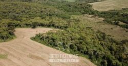 Fazenda à Venda 173 Hectares Dupla Apitdão | Lapa/ PR Fazenda à Venda 173 Hectares Dupla Apitdão | Lapa/ PR