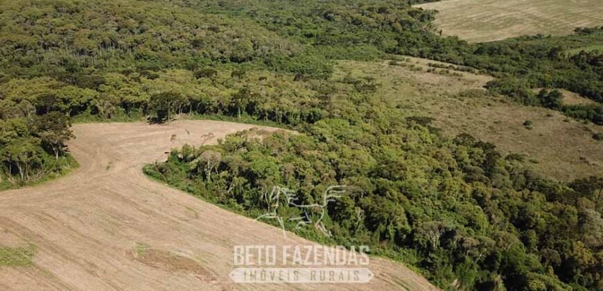 Fazenda à Venda 173 Hectares Dupla Apitdão | Lapa/ PR Fazenda à Venda 173 Hectares Dupla Apitdão | Lapa/ PR