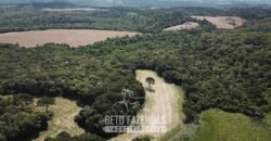 Fazenda à Venda 173 Hectares Dupla Apitdão | Lapa/ PR Fazenda à Venda 173 Hectares Dupla Apitdão | Lapa/ PR