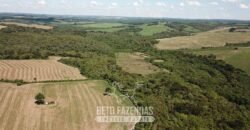 Fazenda à Venda 173 Hectares Dupla Apitdão | Lapa/ PR Fazenda à Venda 173 Hectares Dupla Apitdão | Lapa/ PR