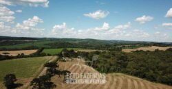 Fazenda à Venda 173 Hectares Dupla Apitdão | Lapa/ PR Fazenda à Venda 173 Hectares Dupla Apitdão | Lapa/ PR