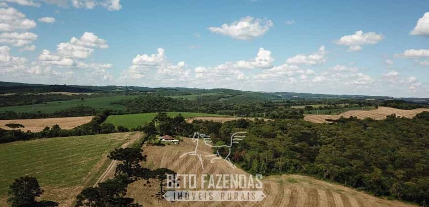 Fazenda à Venda 173 Hectares Dupla Apitdão | Lapa/ PR Fazenda à Venda 173 Hectares Dupla Apitdão | Lapa/ PR