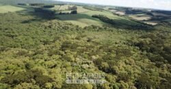 Fazenda à Venda 173 Hectares Dupla Apitdão | Lapa/ PR Fazenda à Venda 173 Hectares Dupla Apitdão | Lapa/ PR