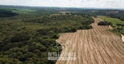 Fazenda à Venda 173 Hectares Dupla Apitdão | Lapa/ PR Fazenda à Venda 173 Hectares Dupla Apitdão | Lapa/ PR