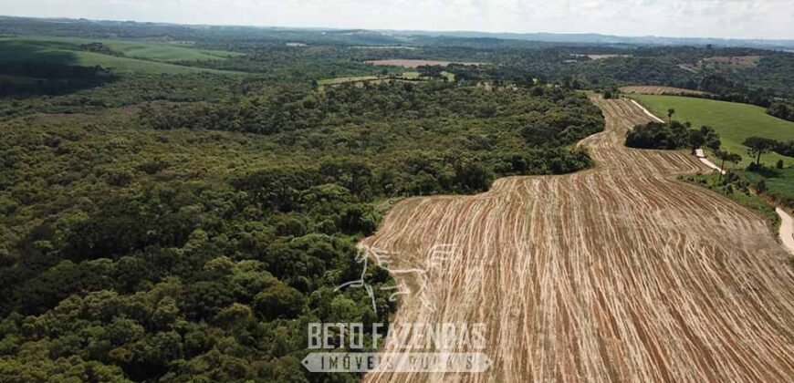 Fazenda à Venda 173 Hectares Dupla Apitdão | Lapa/ PR Fazenda à Venda 173 Hectares Dupla Apitdão | Lapa/ PR