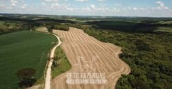 Fazenda à Venda 173 Hectares Dupla Apitdão | Lapa/ PR Fazenda à Venda 173 Hectares Dupla Apitdão | Lapa/ PR