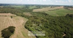 Fazenda à Venda 173 Hectares Dupla Apitdão | Lapa/ PR Fazenda à Venda 173 Hectares Dupla Apitdão | Lapa/ PR