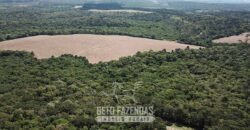 Fazenda à Venda 173 Hectares Dupla Apitdão | Lapa/ PR Fazenda à Venda 173 Hectares Dupla Apitdão | Lapa/ PR