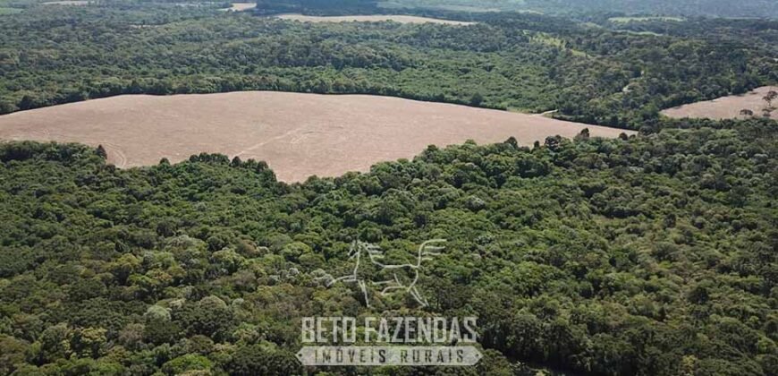 Fazenda à Venda 173 Hectares Dupla Apitdão | Lapa/ PR Fazenda à Venda 173 Hectares Dupla Apitdão | Lapa/ PR