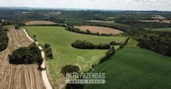 Fazenda à Venda 173 Hectares Dupla Apitdão | Lapa/ PR Fazenda à Venda 173 Hectares Dupla Apitdão | Lapa/ PR