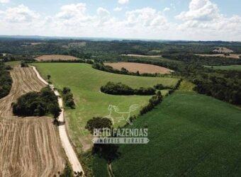 Fazenda à Venda 173 Hectares Dupla Apitdão | Lapa/ PR