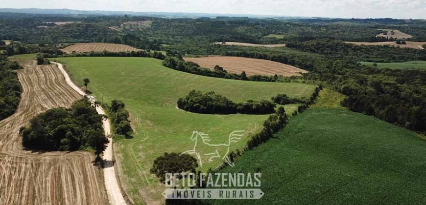 Fazenda à Venda 173 Hectares Dupla Apitdão | Lapa/ PR Fazenda à Venda 173 Hectares Dupla Apitdão | Lapa/ PR