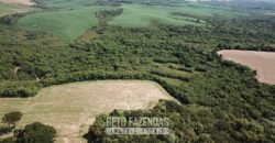 Fazenda à Venda 173 Hectares Dupla Apitdão | Lapa/ PR Fazenda à Venda 173 Hectares Dupla Apitdão | Lapa/ PR