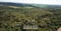 Fazenda à Venda 173 Hectares Dupla Apitdão | Lapa/ PR Fazenda à Venda 173 Hectares Dupla Apitdão | Lapa/ PR