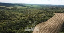 Fazenda à Venda 173 Hectares Dupla Apitdão | Lapa/ PR Fazenda à Venda 173 Hectares Dupla Apitdão | Lapa/ PR